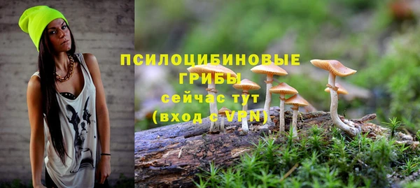 хмурый Алзамай