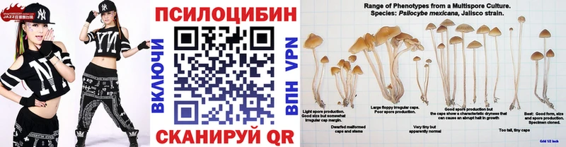 Галлюциногенные грибы Cubensis  Гдов 